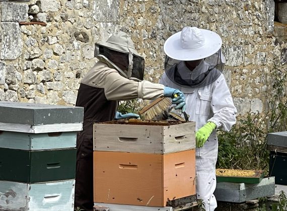 photo_VaV1 photo_VaV1